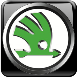 Замена масла Шкода (Skoda) в Минске